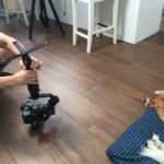 Animal health video shoot: Capturing video content focused on pet care