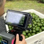 Overlay produce: fastcut capturing video content of fresh produce